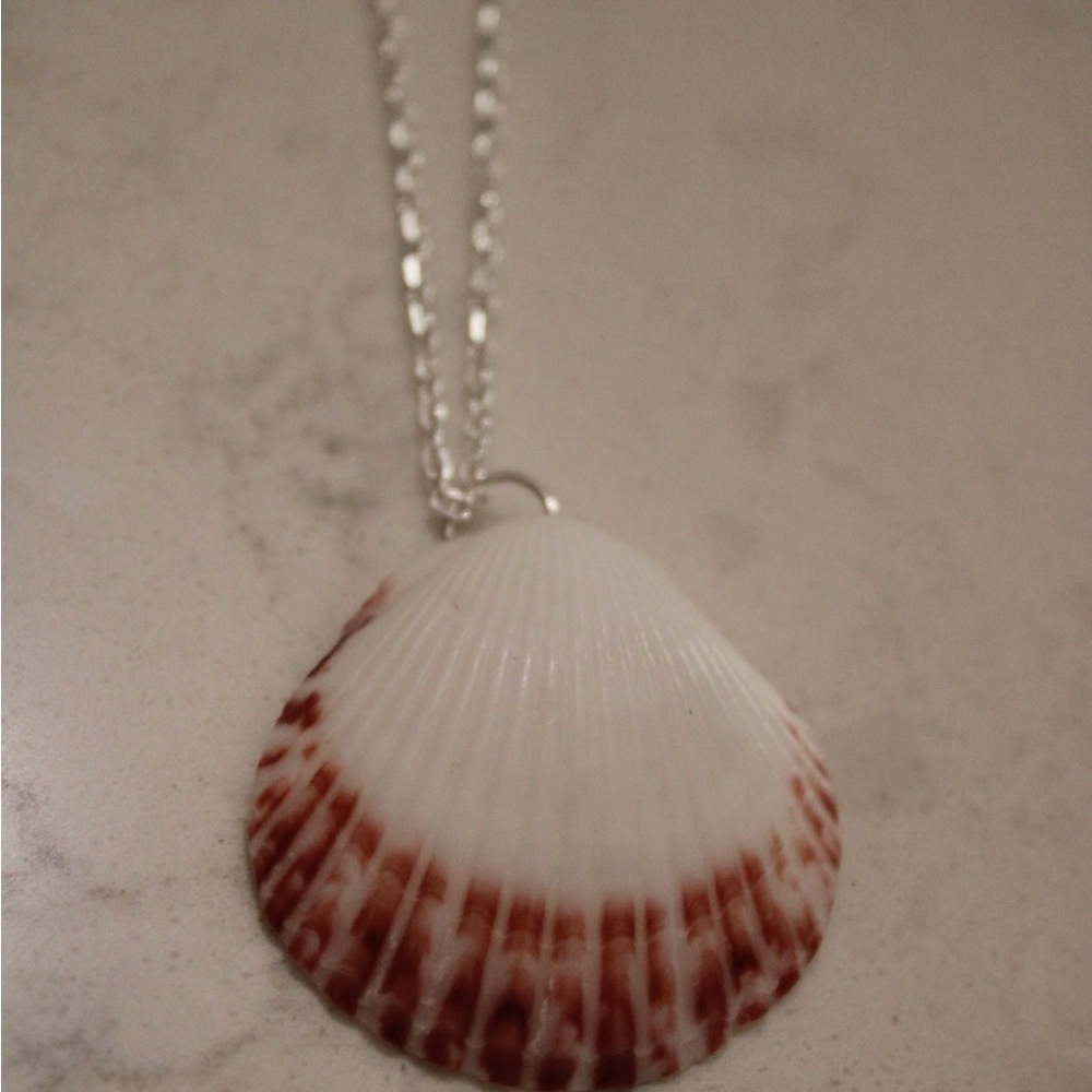 Seashell Pendant Necklace with Silver Chain
